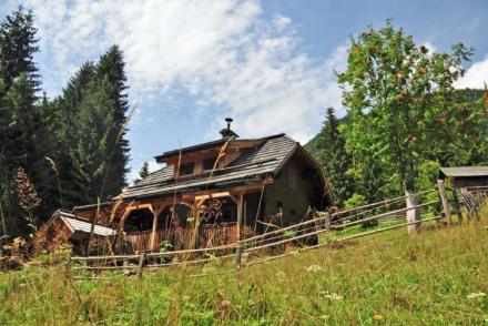 Almhütte im Walde (AT-1098)