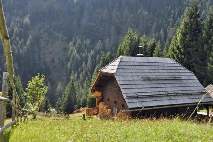 Almhütte im Walde (AT-1098)