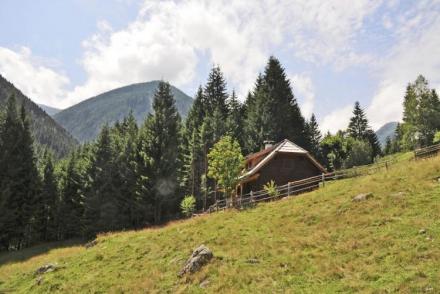 Almhütte im Walde (AT-1098)