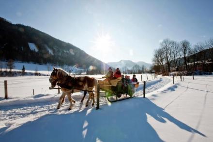 Chalet Zuckerhütl (AT-11017)