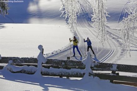 Hallstatt-Dachstein Luxury 8 Gosau (AT-11761)