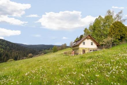 Schröllhütte (AT-13133)