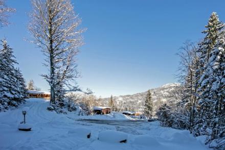 Chalet Catharina im Brixental (AT-1947)