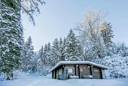 Chalet Catharina im Brixental (AT-1947)