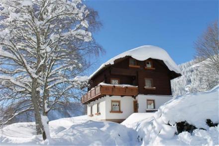 Ferienhaus Dachsteinheim (AT-2498)