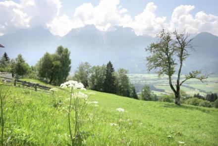 Chalet Dolomitenblick (AT-2758)