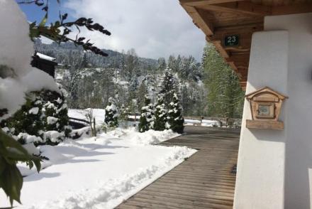 Chalet Kaiserliebe I (AT-3098)