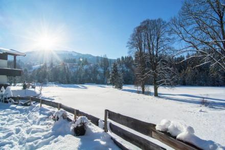 Chalet Kaiserliebe I (AT-3098)