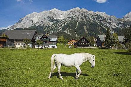 Ramsau am Dachstein (AT-3774)