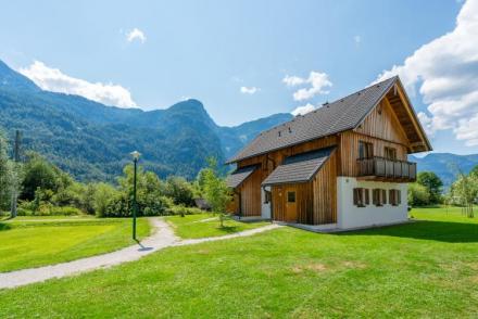 Luxery Salzkammergut Chalet A (AT-8396)