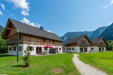 Luxery Salzkammergut Chalet C (AT-8398)