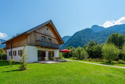 Luxery Salzkammergut Chalet D (AT-8399)