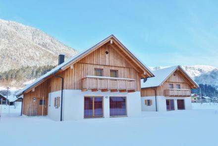 Luxery Salzkammergut Chalet D (AT-8399)