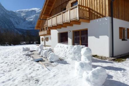 Luxery Salzkammergut Chalet E (AT-8400)