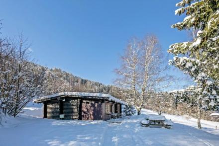 Chalet im Brixental I (AT-8445)