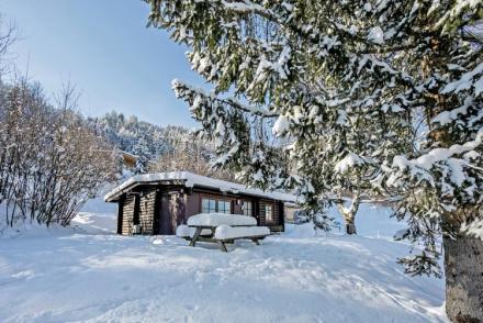 Chalet im Brixental I (AT-8445)