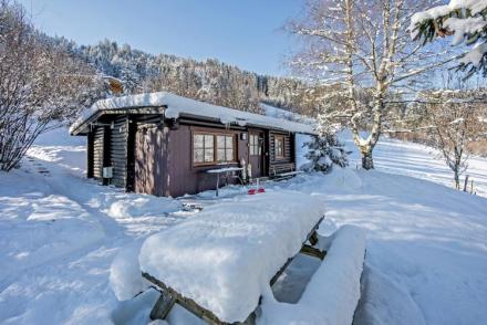 Chalet im Brixental I (AT-8445)