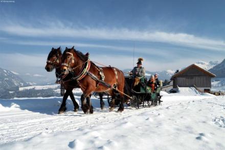 Chalet Schattberg (AT-8760)