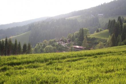 Almhütte Karawankenpanorama (AT-8779)