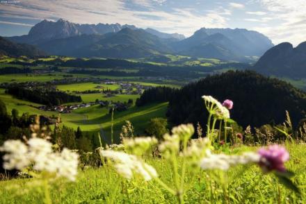 Chalet Niederndorferberg 1 (AT-9956)