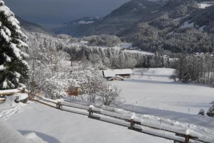 Chalet Niederndorferberg 1 (AT-9956)