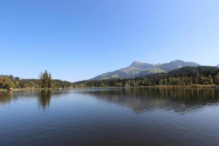 Chalet Niederndorferberg 1 (AT-9956)