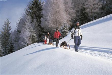 Chalet Niederndorferberg 1 (AT-9956)