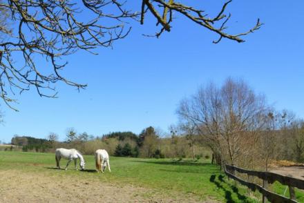 Le Haras (BE-1604)