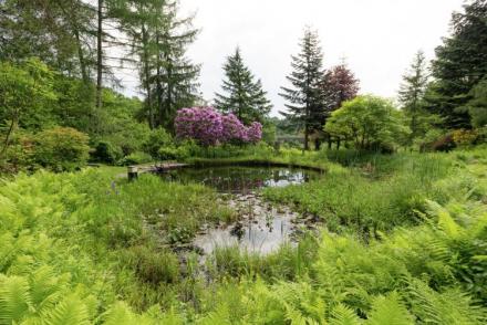 Le Jardin des Eaux (BE-1722)