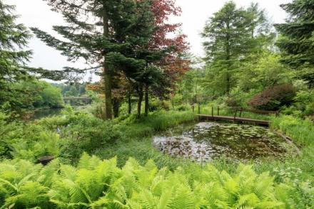 Le Jardin des Eaux (BE-1722)