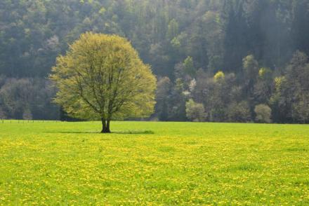 Jardin de l'Ourthe 22 (BE-2310)