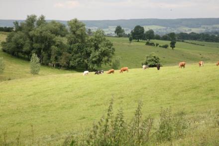 Jardin de l'Ourthe 22 (BE-2310)