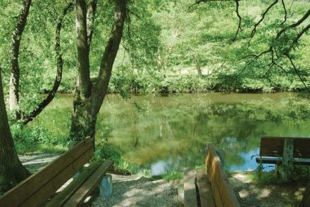 Bord de l´Ourthe (BE-4236)