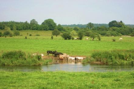 Le Moulin d'Halconreux (BE-4690)