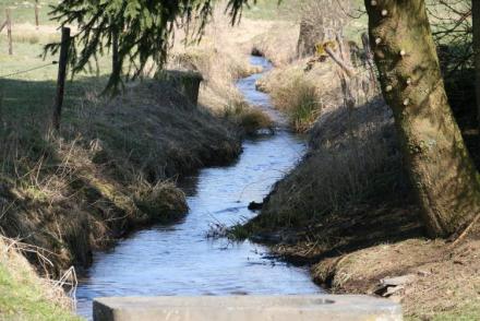 Le Moulin d'Halconreux (BE-4690)