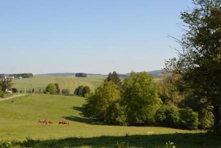 La Ferme de la Buissonniere (BE-4903)