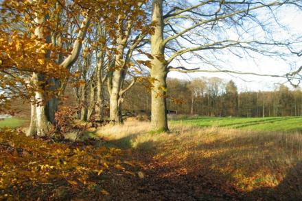 Les Jardins de l'Ourthe 16 (BE-4930)