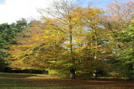 Les Jardins de l'Ourthe 16 (BE-4930)