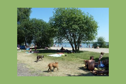 Hondencamping Erkemederstrand Flevoland HW022